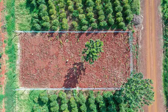 Oarkland Plots for sale in Ruiru, Kiambu — photo 2