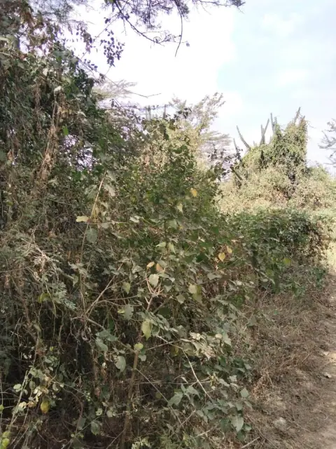2.5 Acres Land For Sale In Mlolongo, Mombasa Road — photo 4