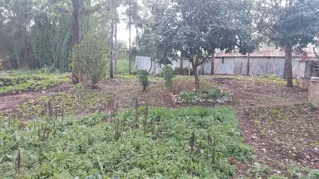 Land For Sale In Riruta, Kabiria Road — photo 10